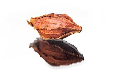 《电梯大战 归来 S-TRIBUTE》12月1日发售 支持繁中